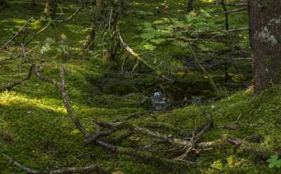 Portage Lake Alaska Panoramic Landscape Photography Tundra Overlook Fine Art Landscape - 020307 - 19-09-2016 - 13283x8247 Pixel Portage Lake Alaska Panoramic Landscape Photography Tundra Overlook Fine Art Landscape Fine Art Photography Gallery Fine Arts Rock Pass Fine Art Stock Pictures...