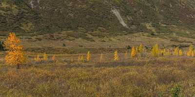 Portage Seaward Hwy Alaska Panoramic Landscape Photography Tundra Nature Fine Art Stock Pictures - 020332 - 19-09-2016 - 18178x5714 Pixel Portage Seaward Hwy Alaska Panoramic Landscape Photography Tundra Nature Fine Art Stock Pictures Cloud Art Photography Gallery Fine Art Giclee Printing Senic...