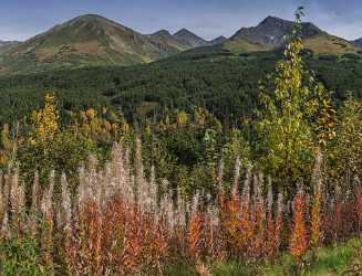 Portage Seaward Hwy Alaska Panoramic Landscape Photography Tundra Modern Wall Art - 020436 - 19-09-2016 - 10061x7687 Pixel Portage Seaward Hwy Alaska Panoramic Landscape Photography Tundra Modern Wall Art What Is Fine Art Photography Nature Animal Leave Photography Prints For Sale...