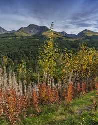 Portage Seaward Hwy Alaska Panoramic Landscape Photography Tundra Snow Fine Art Photographers - 020442 - 19-09-2016 - 7726x9881 Pixel Portage Seaward Hwy Alaska Panoramic Landscape Photography Tundra Snow Fine Art Photographers Fine Art Print River Sky Fine Art Foto Stock Pictures Fine Art...