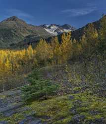 Exit Glacier Seaward Alaska Panoramic Landscape Photography Tundra Animal Rock Fine Art Landscapes - 020488 - 19-09-2016 - 7594x8889 Pixel Exit Glacier Seaward Alaska Panoramic Landscape Photography Tundra Animal Rock Fine Art Landscapes Sunshine Stock Pictures Forest Senic Fine Art Fotografie Fine...