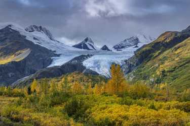 Single Shot Alaska Usa Panoramic Landscape Photography Scenic Shore Animal - 020891 - 17-09-2016 - 7952x5304 Pixel Single Shot Alaska Usa Panoramic Landscape Photography Scenic Shore Animal Fine Art Photography For Sale What Is Fine Art Photography Fine Art Pictures Sky...