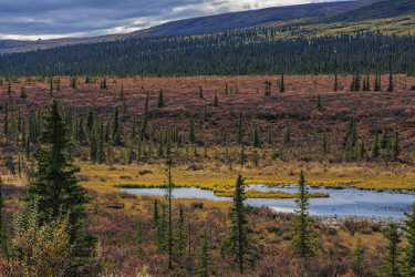 Single Shot Alaska Usa Panoramic Landscape Photography Scenic Country Road Grass Fine Arts - 020797 - 09-09-2016 - 7952x5304 Pixel Single Shot Alaska Usa Panoramic Landscape Photography Scenic Country Road Grass Fine Arts View Point Fine Art Landscapes Fine Art Photos Nature Fine Art...