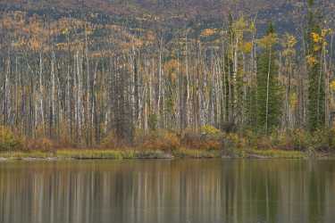 Single Shot Alaska Usa Panoramic Landscape Photography Scenic Art Printing Shore Photo Fine Art - 020825 - 11-09-2016 - 7952x5304 Pixel Single Shot Alaska Usa Panoramic Landscape Photography Scenic Art Printing Shore Photo Fine Art Lake Fine Art Landscape Fine Art Giclee Printing Fine Art Photos...