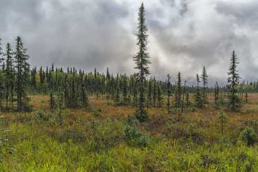 Single Shot Alaska Usa Panoramic Landscape Photography Scenic Modern Wall Art Stock Images - 020650 - 06-09-2016 - 7952x5304 Pixel Single Shot Alaska Usa Panoramic Landscape Photography Scenic Modern Wall Art Stock Images Fine Art Giclee Printing Sea Sunshine Royalty Free Stock Images Fine...