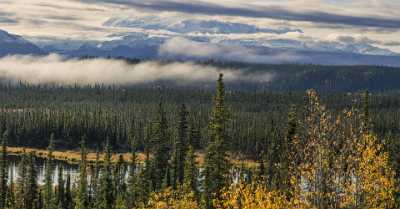 Slana Glenn Hwy Alaska Panoramic Landscape Photography Tundra Fine Art Fotografie Stock Pictures - 020306 - 17-09-2016 - 14487x7573 Pixel Slana Glenn Hwy Alaska Panoramic Landscape Photography Tundra Fine Art Fotografie Stock Pictures Royalty Free Stock Photos Sale Fine Art Photography Gallery...