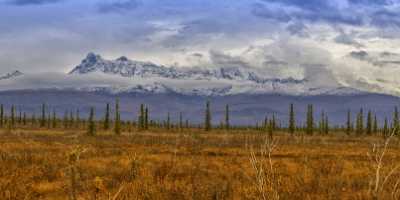 Slana Glenn Hwy Alaska Panoramic Landscape Photography Tundra Forest Coast Tree Images Pass City - 020358 - 16-09-2016 - 15424x6477 Pixel Slana Glenn Hwy Alaska Panoramic Landscape Photography Tundra Forest Coast Tree Images Pass City Fine Arts Creek Fine Art Photos Fine Art Photographer Fine Art...