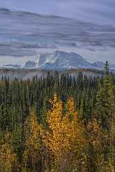 Slana Glenn Hwy Alaska Panoramic Landscape Photography Tundra Fine Art Landscape Photography - 020375 - 17-09-2016 - 7752x12472 Pixel Slana Glenn Hwy Alaska Panoramic Landscape Photography Tundra Fine Art Landscape Photography Fine Art Photography Gallery Images Prints Town Western Art Prints...