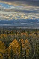 Slana Glenn Hwy Alaska Panoramic Landscape Photography Tundra Forest Fine Art Nature Photography - 020376 - 17-09-2016 - 7762x12422 Pixel Slana Glenn Hwy Alaska Panoramic Landscape Photography Tundra Forest Fine Art Nature Photography Art Printing Summer Barn Fine Art Photographers Fine Art...