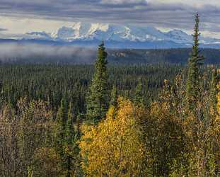 Slana Glenn Hwy Alaska Panoramic Landscape Photography Tundra Photo Color River Forest - 020495 - 17-09-2016 - 9031x7255 Pixel Slana Glenn Hwy Alaska Panoramic Landscape Photography Tundra Photo Color River Forest Fine Art Landscape Photography Senic Photo Fine Art Fine Arts Fine Art...