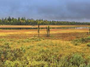 Talkeetna