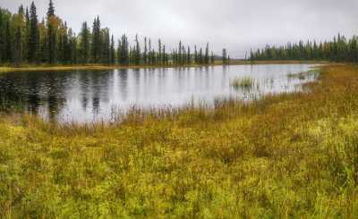 Talkeetna Trapper Creek Swamp Marshland Alaska Panoramic Landscape Fine Art Photography For Sale - 020348 - 06-09-2016 - 12894x7911 Pixel Talkeetna Trapper Creek Swamp Marshland Alaska Panoramic Landscape Fine Art Photography For Sale Fog Mountain Fine Art Fotografie Modern Art Prints Fine Art...