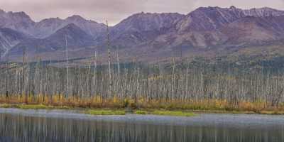 Tancross Viewpoint Alaska Panoramic Landscape Photography Tundra Overlook Animal Fine Art Posters - 020291 - 11-09-2016 - 15299x7521 Pixel Tancross Viewpoint Alaska Panoramic Landscape Photography Tundra Overlook Animal Fine Art Posters Town Famous Fine Art Photographers Rain Fine Art Fotografie...