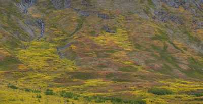 Thompson Pass Richardson Hwy Alaska Panoramic Landscape Photography Fine Arts Photography Shoreline - 020269 - 17-09-2016 - 15451x7919 Pixel Thompson Pass Richardson Hwy Alaska Panoramic Landscape Photography Fine Arts Photography Shoreline Fine Art Photos Images Flower Fine Art Fotografie Fine Art...