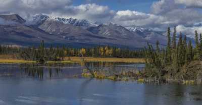 Tok Glenn Hwy Alaska Panoramic Landscape Photography Tundra Art Prints Shore Hi Resolution Fine Art - 020298 - 16-09-2016 - 14710x7639 Pixel Tok Glenn Hwy Alaska Panoramic Landscape Photography Tundra Art Prints Shore Hi Resolution Fine Art Flower Royalty Free Stock Photos Tree Color Photography...