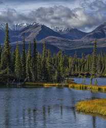 Tok Hwy Alaska Panoramic Landscape Photography Tundra Overlook Park Sea Sale Rock Art Printing - 020473 - 16-09-2016 - 7575x9148 Pixel Tok Hwy Alaska Panoramic Landscape Photography Tundra Overlook Park Sea Sale Rock Art Printing Creek Flower Rain Pass Fine Art Photo Shoreline Fine Art Photos...