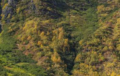 Tonsina Richardson Hwy Alaska Panoramic Landscape Photography Tundra Creek Tree Outlook - 020345 - 17-09-2016 - 12673x8070 Pixel Tonsina Richardson Hwy Alaska Panoramic Landscape Photography Tundra Creek Tree Outlook Modern Art Prints Fine Art Posters Photo Fine Art Island Royalty Free...