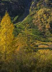 Tonsina Richardson Hwy Alaska Panoramic Landscape Photography Tundra Fine Art Photography Galleries - 020420 - 17-09-2016 - 7698x10612 Pixel Tonsina Richardson Hwy Alaska Panoramic Landscape Photography Tundra Fine Art Photography Galleries Art Photography For Sale Country Road Fine Art Giclee...