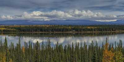 Willow Creek Richardson Hwy Alaska Panoramic Landscape Photography City Senic Fine Art - 020042 - 17-09-2016 - 22759x11047 Pixel Willow Creek Richardson Hwy Alaska Panoramic Landscape Photography City Senic Fine Art Fine Art America Forest Outlook Shore Fine Art Photographers Photo Fine...