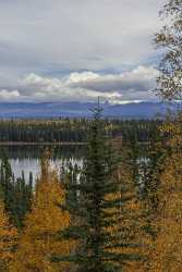 Willow Creek Richardson Hwy Alaska Panoramic Landscape Photography Rain Fine Art Printing Color - 020292 - 17-09-2016 - 7802x14689 Pixel Willow Creek Richardson Hwy Alaska Panoramic Landscape Photography Rain Fine Art Printing Color Stock Pictures Fine Art America Fine Art Fotografie Outlook...