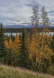 Willow Creek Richardson Hwy Alaska Panoramic Landscape Photography Park Fine Art Photography Prints - 020391 - 17-09-2016 - 7907x11289 Pixel Willow Creek Richardson Hwy Alaska Panoramic Landscape Photography Park Fine Art Photography Prints What Is Fine Art Photography Fine Art Printing Fine Art...