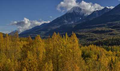 Wortmanns Richardson Hwy Alaska Panoramic Landscape Photography Tundra Flower Hi Resolution River - 020366 - 17-09-2016 - 12930x7653 Pixel Wortmanns Richardson Hwy Alaska Panoramic Landscape Photography Tundra Flower Hi Resolution River Country Road Cloud Pass Island Modern Wall Art Creek Stock...