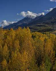 Wortmanns Richardson Hwy Alaska Panoramic Landscape Photography Tundra Town River Prints - 020430 - 17-09-2016 - 7913x10107 Pixel Wortmanns Richardson Hwy Alaska Panoramic Landscape Photography Tundra Town River Prints Photography Prints For Sale City Royalty Free Stock Photos Pass Prints...