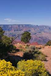 Grand Canyon East Rim Desert View Tusayan Sunrise Royalty Free Stock Photos Landscape - 011018 - 28-09-2011 - 4043x6567 Pixel Grand Canyon East Rim Desert View Tusayan Sunrise Royalty Free Stock Photos Landscape Fine Art Posters Beach Fine Art Printing Ice Stock Photos River Fine Art...