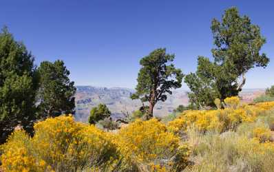 Grand Canyon East Rim Desert View Tusayan Sunrise Fine Art Landscapes Famous Fine Art Photographers - 011022 - 28-09-2011 - 6972x4378 Pixel Grand Canyon East Rim Desert View Tusayan Sunrise Fine Art Landscapes Famous Fine Art Photographers Art Photography For Sale Modern Art Prints Flower Lake Art...