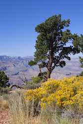 Grand Canyon East Rim Desert View Tusayan Sunrise Ice View Point Prints For Sale - 011024 - 28-09-2011 - 3790x7457 Pixel Grand Canyon East Rim Desert View Tusayan Sunrise Ice View Point Prints For Sale Royalty Free Stock Images Snow River Outlook Photo Fine Art Fine Art Printing...