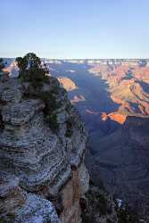 Grand Canyon West Rim Village Tusayan Sunrise Sunset Flower Western Art Prints For Sale - 011060 - 28-09-2011 - 4284x6741 Pixel Grand Canyon West Rim Village Tusayan Sunrise Sunset Flower Western Art Prints For Sale Fine Art Printing Beach Art Photography For Sale Snow Fine Art Print...