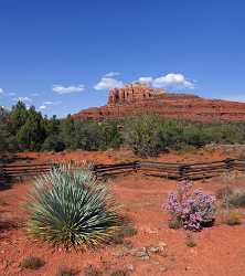 Village Oak Creek Sedona Verde Valley Arizona Desert Forest Fine Art Prints For Sale Hi Resolution - 011097 - 29-09-2011 - 4329x4884 Pixel Village Oak Creek Sedona Verde Valley Arizona Desert Forest Fine Art Prints For Sale Hi Resolution Art Prints Tree Winter Photo Fine Art Fine Art Photography...