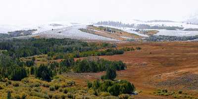 Bridgeport Virginia Lakes Snow Autumn Fall Color Tree Pass Spring Grass Country Road Park - 010524 - 05-10-2011 - 10612x4076 Pixel Bridgeport Virginia Lakes Snow Autumn Fall Color Tree Pass Spring Grass Country Road Park Fine Art Landscapes Fine Arts Photography Art Prints Western Art...