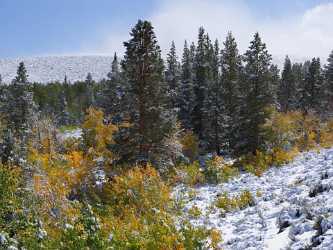 Bridgeport Virginia Lakes Snow Autumn Fall Color Tree Country Road Shore Fine Art Prints Cloud - 010529 - 05-10-2011 - 6674x5005 Pixel Bridgeport Virginia Lakes Snow Autumn Fall Color Tree Country Road Shore Fine Art Prints Cloud Fine Art Posters Order Royalty Free Stock Images Fine Art...