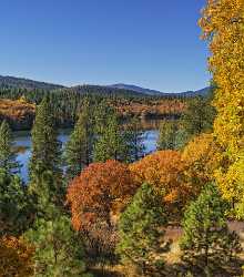 Cayton Lake Britton View Autumn Tree Color Forest Fine Art Photography Image Stock Fine Art Spring - 021759 - 23-10-2017 - 7691x8738 Pixel Cayton Lake Britton View Autumn Tree Color Forest Fine Art Photography Image Stock Fine Art Spring Nature Stock Western Art Prints For Sale Royalty Free Stock...