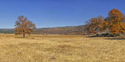Cayton View Autumn Tree Color Forest Blue Sky Ice River Art Photography For Sale Sea - 021762 - 23-10-2017 - 17655x7679 Pixel Cayton View Autumn Tree Color Forest Blue Sky Berg Landschaft Berg Natur Bilder Bachlauf Meer Tiere Regen Strandleben Berg Panorama Landwirtschaft Kueste Gras...