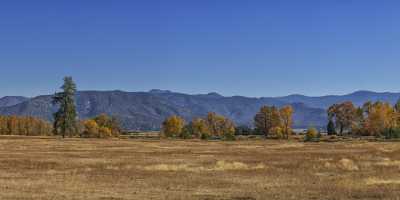 Greenview California Forest Morning Light Colorful Autumn Yellow Image Stock Panoramic Cloud - 022690 - 25-10-2017 - 26556x7328 Pixel Greenview California Forest Morning Light Colorful Autumn Yellow Tiere Schneeberge Insel Gletscher Winter Panorama Foto Verkauf Tundra Sonnenuntergang...