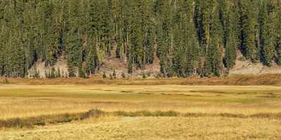 Mineral California Kings Creek Lassen Volcanic National Park Fine Art Photography Leave River - 022717 - 24-10-2017 - 23508x5961 Pixel Mineral California Kings Creek Lassen Volcanic National Park Fine Art Photography Leave River Fine Art Photography Prints For Sale Fine Art Posters What Is Fine...