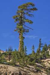 Mineral California Peak Trailhead Lassen Volcanic National Park Shore Shoreline View Point - 022719 - 24-10-2017 - 7827x15955 Pixel Mineral California Emerald Lake Lassen Volcanic National Park Sommer Panorama Eis Baum In Bluete Fuss Sonnenschein See Foto Auswahl Panorama Foto Verkauf Meer...