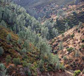 Mariposa Bagby Pass California Autumn Fall Color Tree Fine Art Landscapes Photo Prints For Sale - 010560 - 06-10-2011 - 6494x5827 Pixel Mariposa Bagby Pass California Autumn Fall Color Tree Fine Art Landscapes Photo Prints For Sale Stock Images Art Prints Fine Art Photography Town Fine Arts...