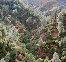 Mariposa Bagby Pass California Autumn Fall Color Tree Images Fine Art Photography Gallery Coast - 010561 - 06-10-2011 - 6583x6254 Pixel Mariposa Bagby Pass California Autumn Fall Color Tree Images Fine Art Photography Gallery Coast Fine Art Posters Fog Winter Snow Photography Prints For Sale...