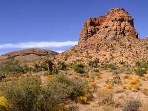 Mojave Desert