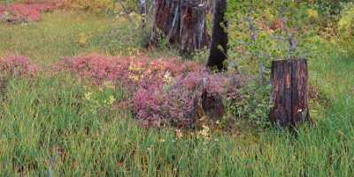 Mammoth Lakes California Lake Mary George Horseshoe Twin Mountain Spring Summer - 010451 - 04-10-2011 - 8810x4120 Pixel Mammoth Lakes California Lake Mary George Horseshoe Twin Mountain Spring Summer Famous Fine Art Photographers Fine Art Photography Galleries Modern Art Prints...