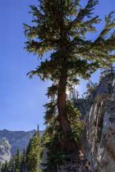 Tj Lake Mommoth Lakes California Overlook Autumn Blue Ice Outlook Fine Art Photography - 014298 - 19-10-2014 - 4761x11883 Pixel Tj Lake Mommoth Lakes California Overlook Autumn Blue Ice Outlook Fine Art Photography Photo Fine Art Flower Sale Fine Art America Fine Art Giclee Printing Fine...