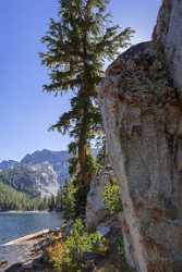 Tj Lake Mommoth Lakes California Overlook Autumn Blue What Is Fine Art Photography Grass Stock - 014299 - 19-10-2014 - 4772x11856 Pixel Tj Lake Mommoth Lakes California Overlook Autumn Blue What Is Fine Art Photography Grass Stock Art Prints For Sale Rain Fine Art Giclee Printing Fine Art Prints...