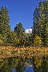 Mt Shasta Volcano Crater View Snow Autumn Tree Color Stock Pictures Fine Art Outlook Mountain - 021764 - 23-10-2017 - 7756x12545 Pixel Mt Shasta Volcano Crater View Snow Autumn Tree Color Stock Pictures Fine Art Outlook Mountain Fine Art Photography Gallery Photography Cloud Summer Sale Fine...