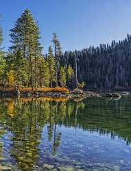 Mt Shasta California Castle Lake Forest Morning Light Sea Fine Art Prints Outlook Tree Nature - 022696 - 25-10-2017 - 7774x10191 Pixel Mt Shasta California Castle Lake Forest Morning Light Sea Fine Art Prints Outlook Tree Nature Fine Art Photographer Sky Fine Art Printing Spring Stock Autumn...