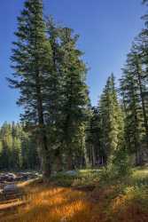 Snow Creek Lake Tioga Pass Yosemite National Park Outlook Fine Art America Island - 014273 - 20-10-2014 - 4790x11515 Pixel Snow Creek Lake Tioga Pass Yosemite National Park Outlook Fine Art America Island Fine Art Photographer Rain Art Photography For Sale Sunshine Fine Art Prints...