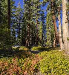 Snow Creek Lake Tioga Pass Yosemite National Park Landscape Autumn Fine Art Posters Animal Rain - 014274 - 20-10-2014 - 7236x7826 Pixel Snow Creek Lake Tioga Pass Yosemite National Park Landscape Autumn Fine Art Posters Animal Rain Prints River Art Photography For Sale Mountain Hi Resolution...