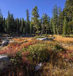 Snow Creek Lake Tioga Pass Yosemite National Park Sky Fine Art Foto Winter Stock Photos Tree City - 014277 - 20-10-2014 - 7253x7523 Pixel Snow Creek Lake Tioga Pass Yosemite National Park Sky Fine Art Foto Winter Stock Photos Tree City Forest Spring Fine Art Photography Galleries What Is Fine Art...